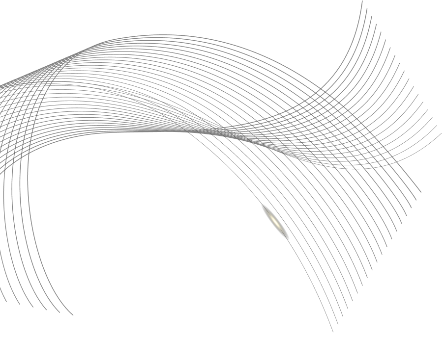 services-v2-shape1 services-v2-shape1